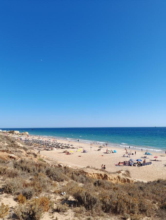 Estudio Puertorico T0 Em Albufeira Gale المظهر الخارجي الصورة