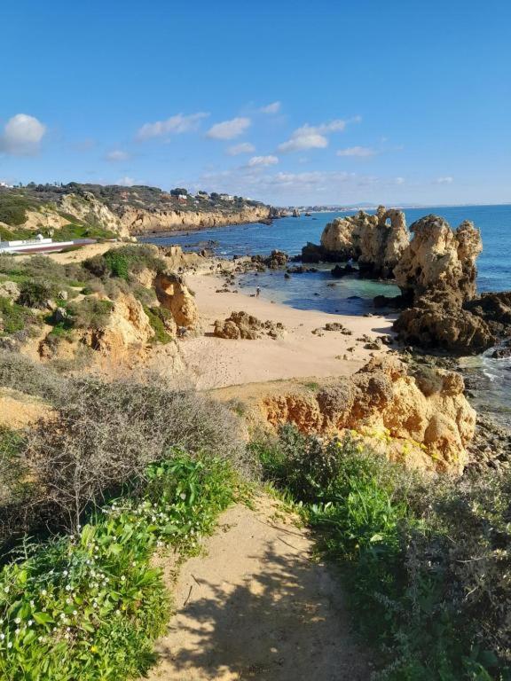 Estudio Puertorico T0 Em Albufeira Gale المظهر الخارجي الصورة